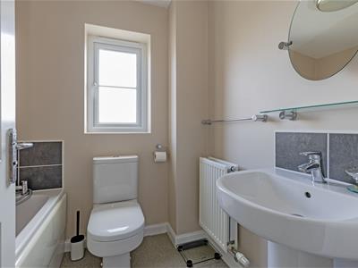 Picture 16